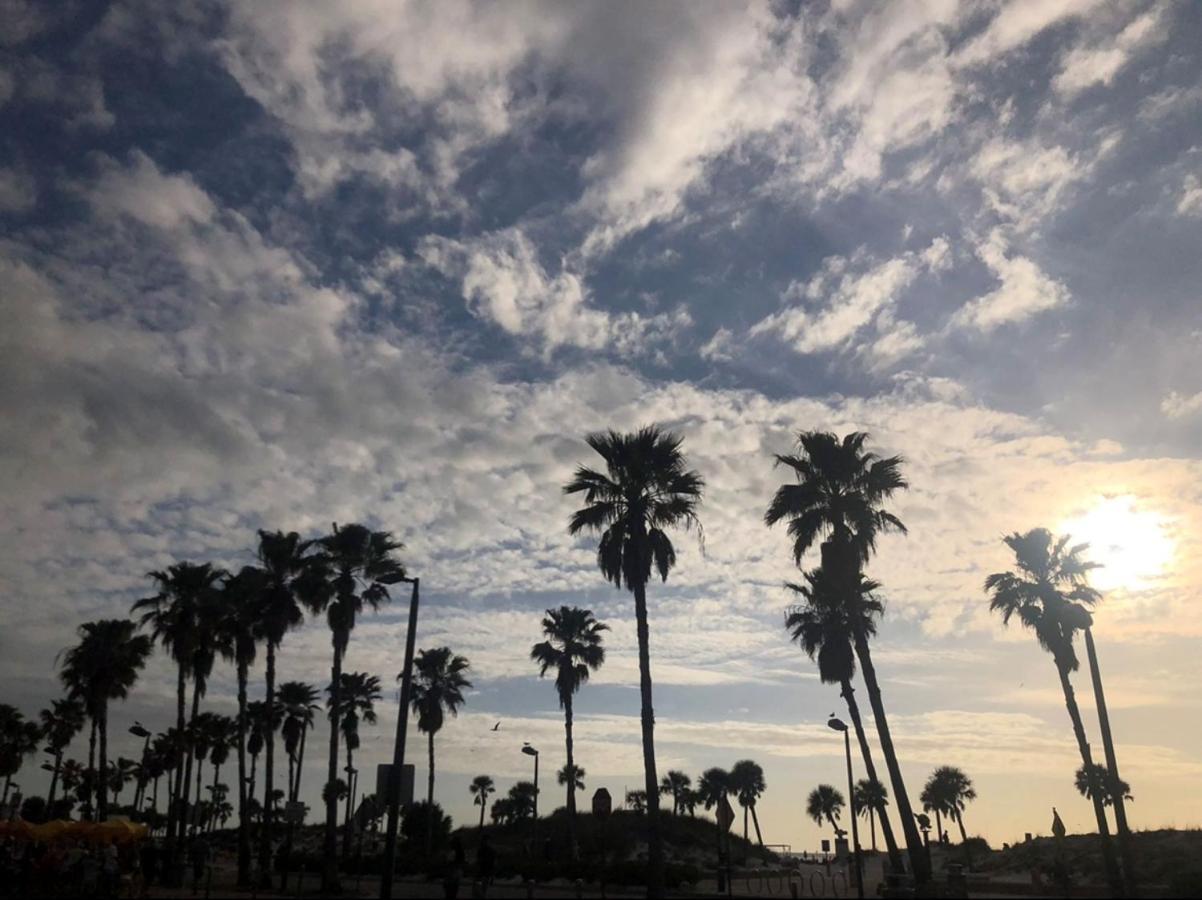 Pelican Pointe Clearwater Beach Hotel מראה חיצוני תמונה